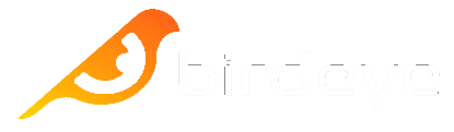 Birdeye.io